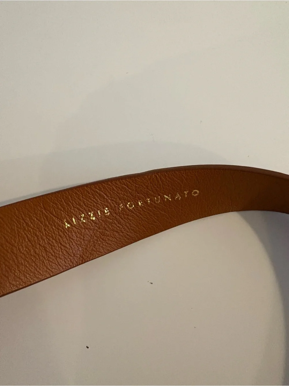 Lizzie Fortunato || Wide Georgia Belt in Tan Silver Tone Buckle